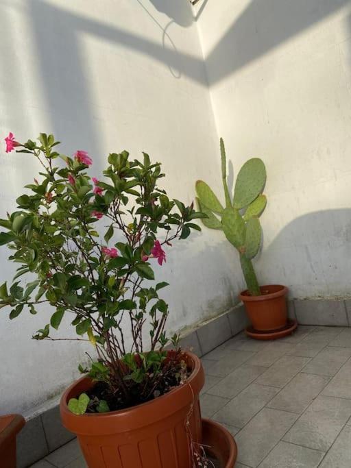 Appartamento Piccolo Sogno Roma
